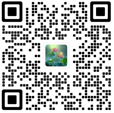 Acta Mathematicae Applicatae Sinica杂志模板